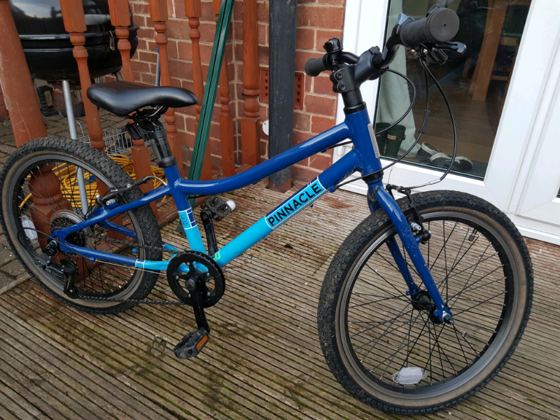 pinnacle 20 inch bike